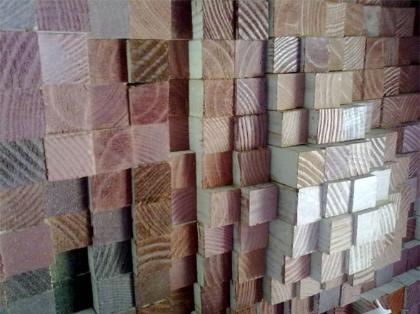 land_of_stipes2